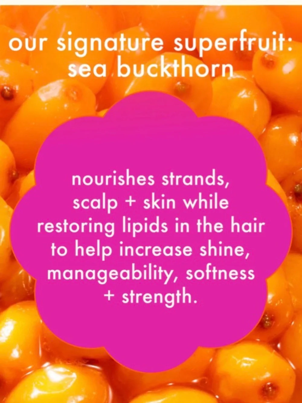 Amika supernova moisture + shine hair cream